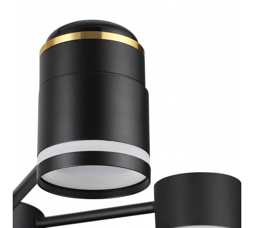 Люстра на штанге Lumion Virsava 8234/6C