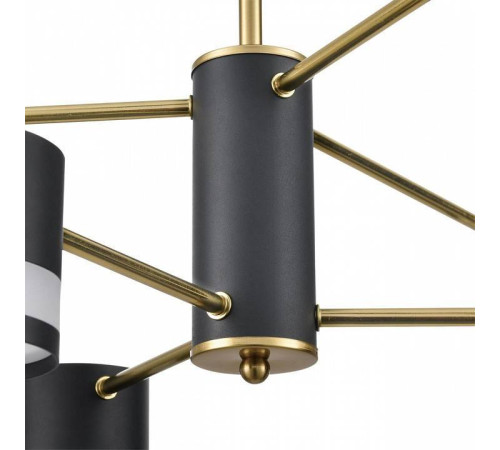 Люстра на штанге Lumion Lanika 8240/6C