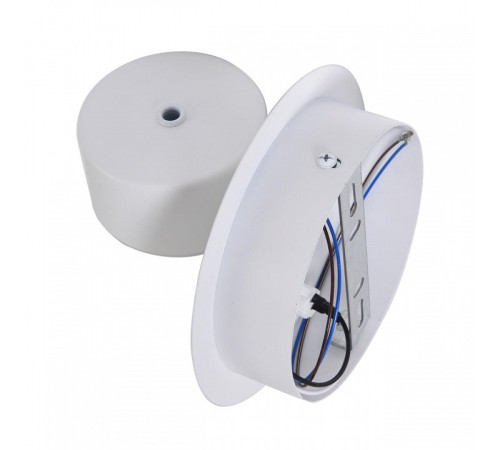 Бра Lumion TORINA 8343/1W