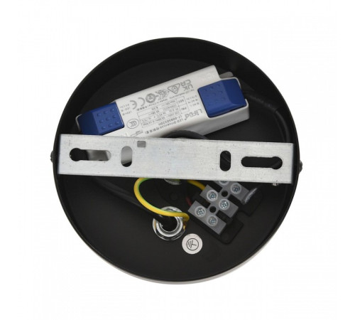 Подвесной светильник Lumion CAMOMILE 8379/10L