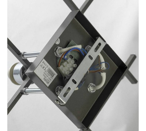 Потолочная люстра Lussole Costanzo LSL-9007-09