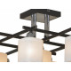 Потолочная люстра Lussole Costanzo LSL-9007-09