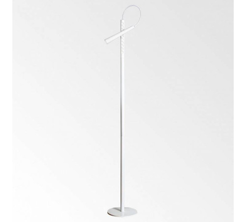 Торшер Lussole Dawson LSP-0578