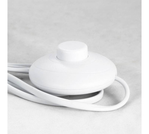 Торшер Lussole Dawson LSP-0578