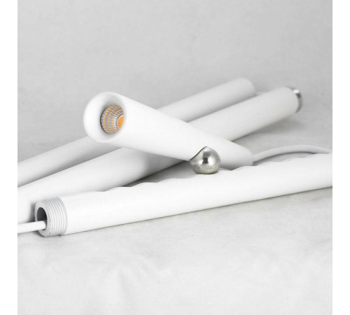 Торшер Lussole Dawson LSP-0578