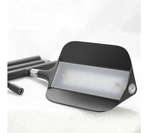 Торшер Lussole LSP-059 LSP-0595