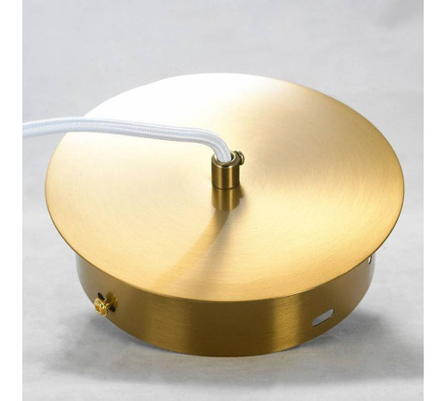 Подвесной светильник Lussole LSP-869 LSP-8691