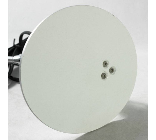 Настольная лампа офисная Lussole Roma LST-4364-01