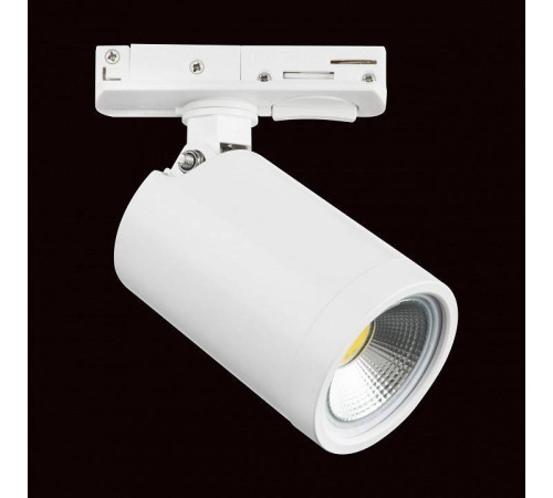 Светильник на штанге Lightstar Rullo 212936