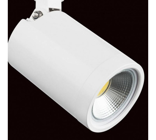 Светильник на штанге Lightstar Rullo 212936