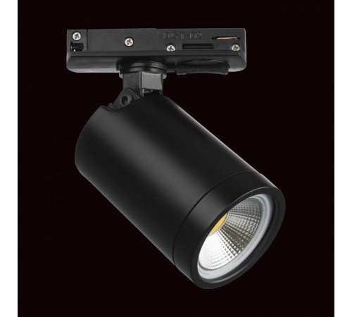 Светильник на штанге Lightstar Rullo 212937