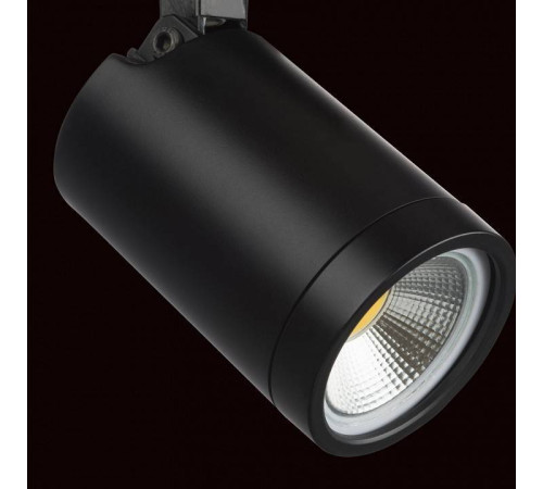 Светильник на штанге Lightstar Rullo 212937