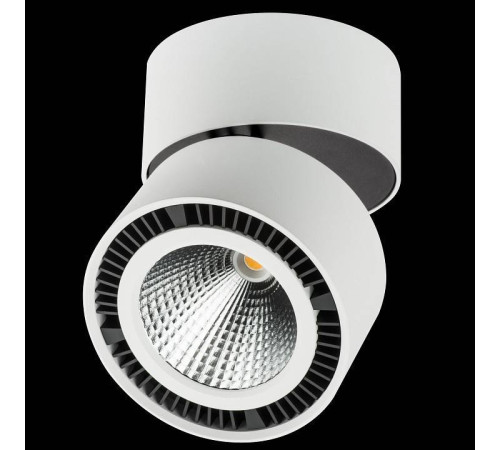 Накладной светильник Lightstar Forte Muro 213830