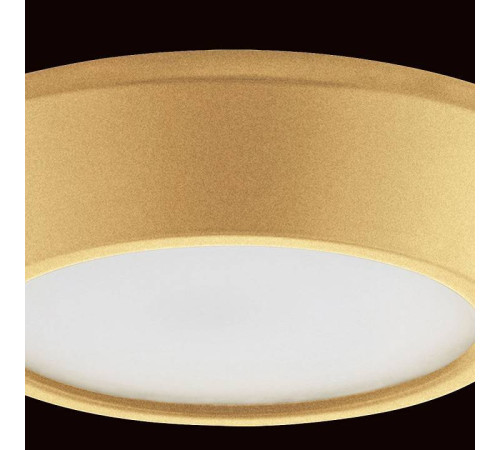 Накладной светильник Lightstar Urbano mini 214732