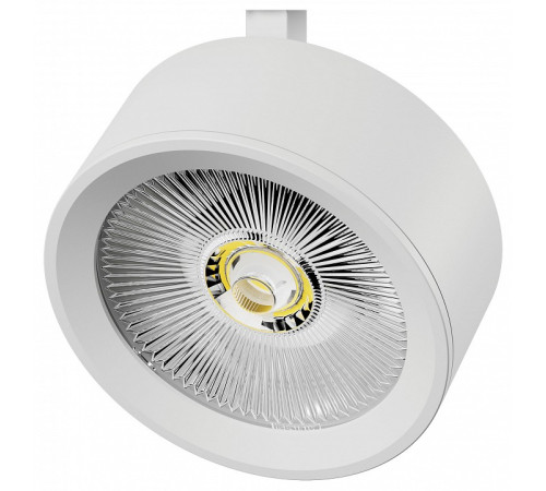 Плафон металлический Lightstar Alta Pro 215636