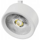 Плафон металлический Lightstar Alta Pro 215646