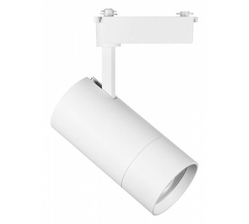 Светильник на штанге Lightstar Volta 229446