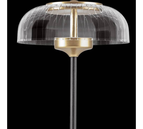 Настольная лампа декоративная Lightstar Acrile 738973