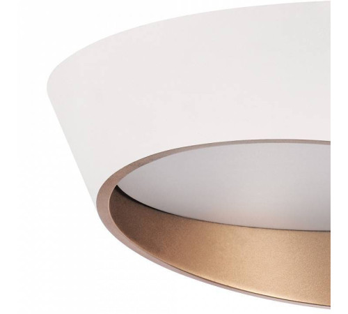 Накладной светильник Lightstar Celesta 809456