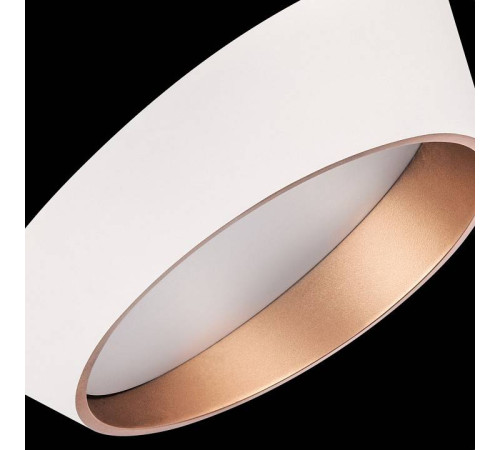 Накладной светильник Lightstar Celesta 809456