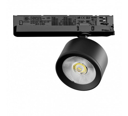 Светильник на штанге Lightstar Alta Pro A5537TRIAC