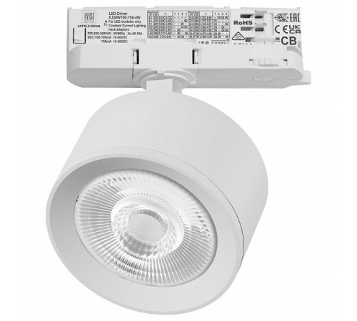 Светильник на штанге Lightstar Alta Pro A5546QT60G