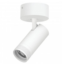 Спот Lightstar Canno Pro C4206SO