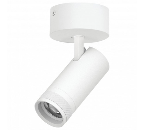 Спот Lightstar Canno Pro C4206SO