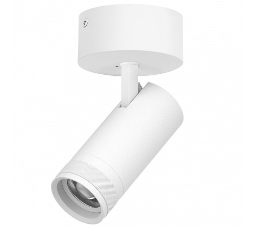 Спот Lightstar Canno Pro C4206SO