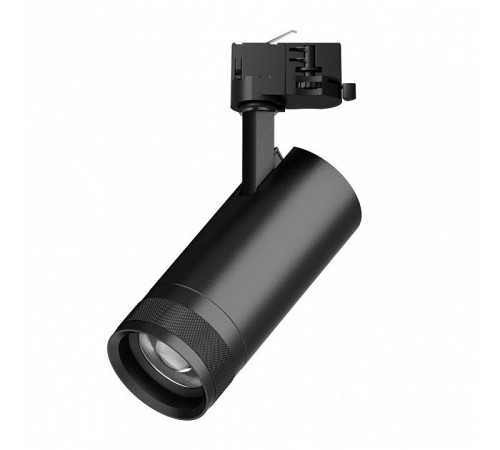 Светильник на штанге Lightstar Canno Pro C4207QT