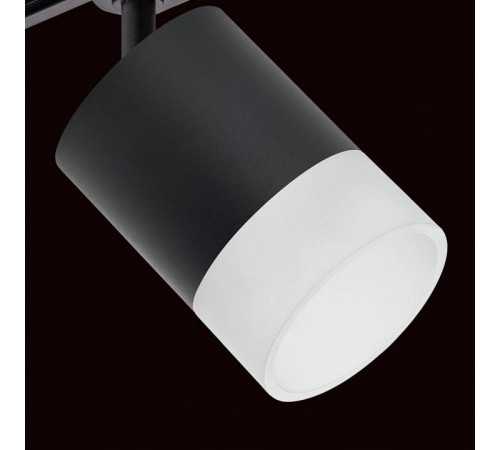 Светильник на штанге Lightstar Rullo R1T348781