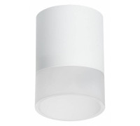 Накладной светильник Lightstar Rullo R348681