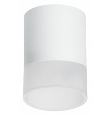 Накладной светильник Lightstar Rullo R348681