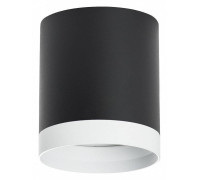 Накладной светильник Lightstar Rullo R34873486