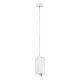 Подвесной светильник Lightstar Rullo RP386