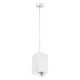 Подвесной светильник Lightstar Rullo RP6586