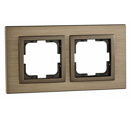 Рамка на 2 поста Mono Electric Style Aluminium 107-810000-161
