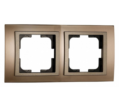 Рамка на 2 поста Mono Electric Style Aluminium 107-810000-161
