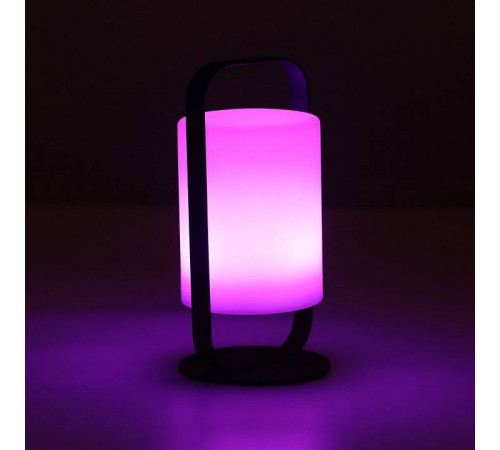 Настольная лампа декоративная DeMarkt Арлон 812030701