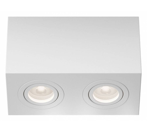 Накладной светильник Maytoni Atom C017CL-02W