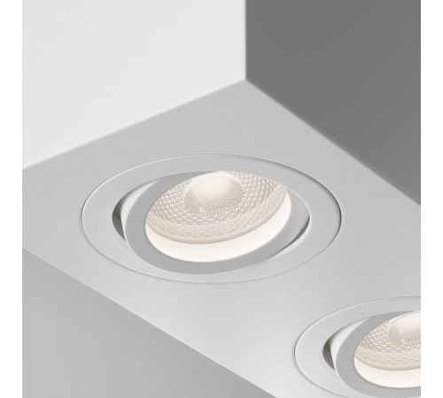 Накладной светильник Maytoni Atom C017CL-02W