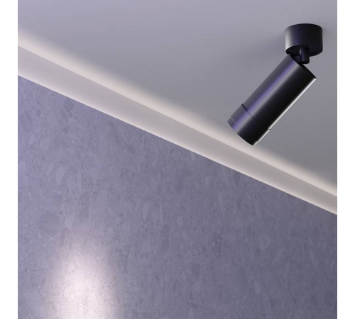 Накладной светильник Maytoni Focus Zoom C055CL-L12W3K-Z-B