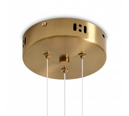 Подвесная люстра Freya Alias FR2050PL-L50BS