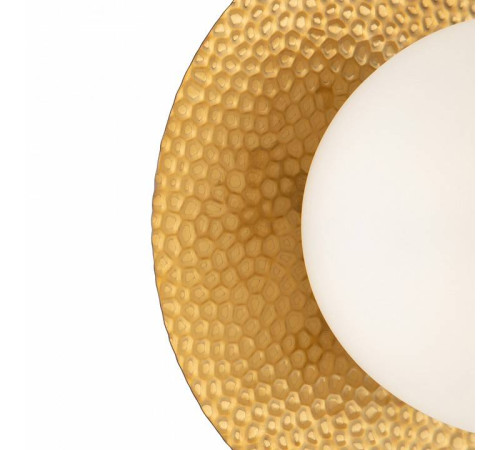 Накладной светильник Freya Camelia FR5202WL-01BS