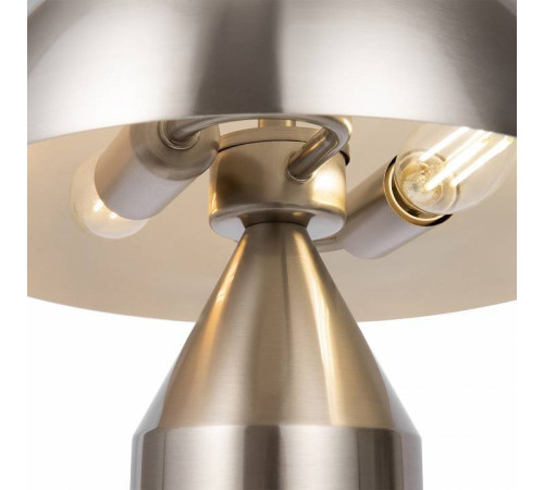 Настольная лампа декоративная Freya Eleon FR5218TL-02N