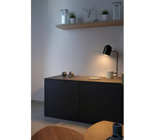 Настольная лампа офисная Freya Unique FR5279TL-01B1