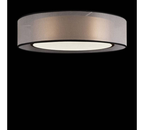 Накладной светильник Freya Zoticus FR6005CL-L36G