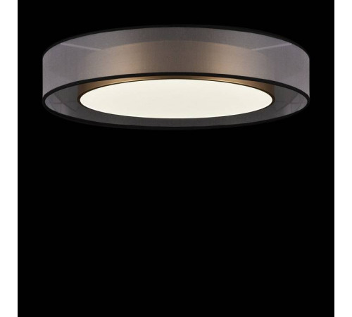 Накладной светильник Freya Zoticus FR6005CL-L48G