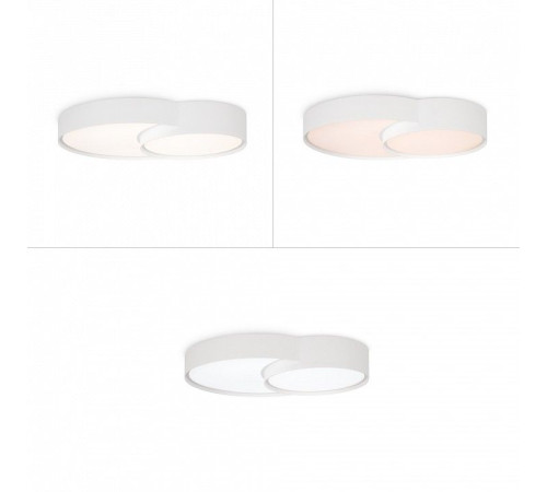 Накладной светильник Freya Items FR6094CL-L72W