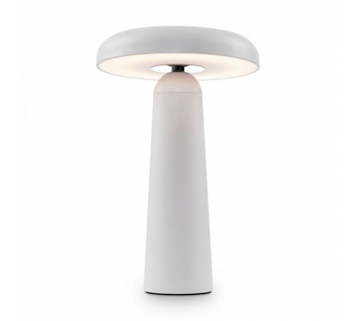 Настольная лампа декоративная Freya Mushroom FR6109TL-L4W